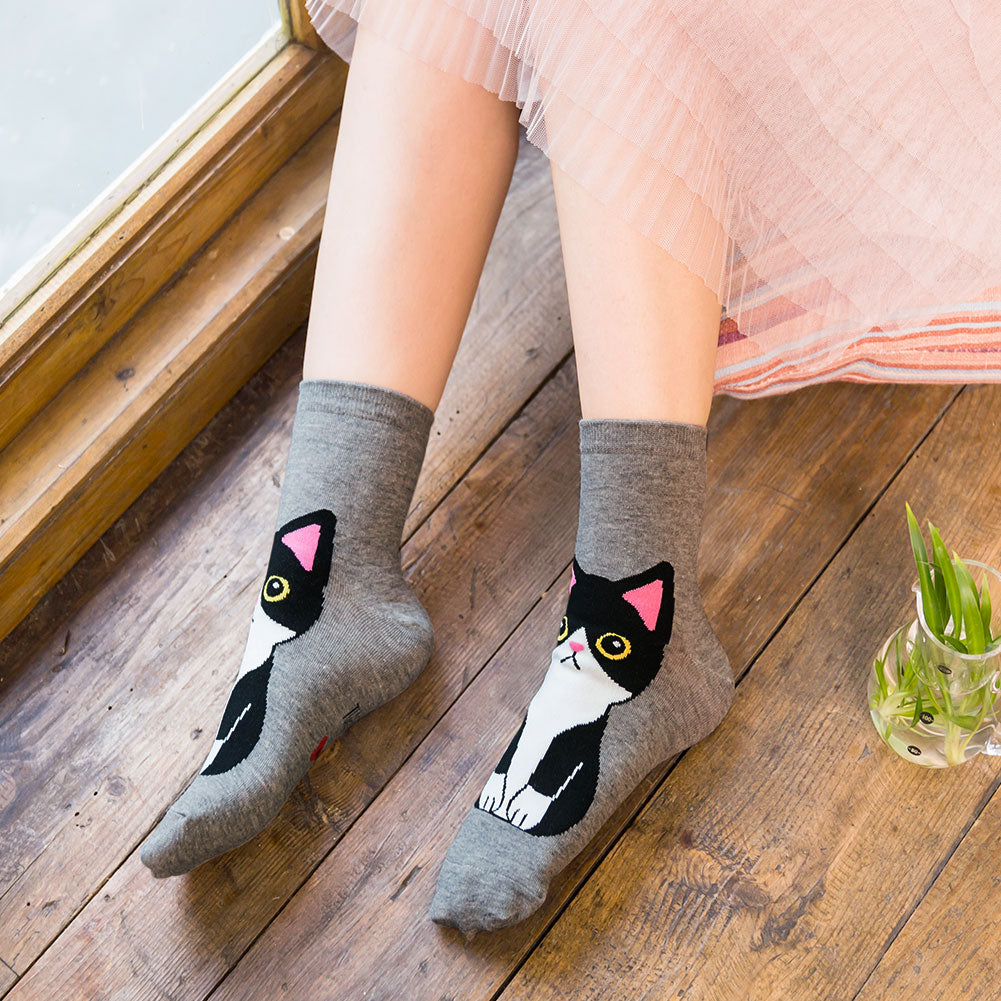 LOFIR 81955-MX-5 pack cat socks