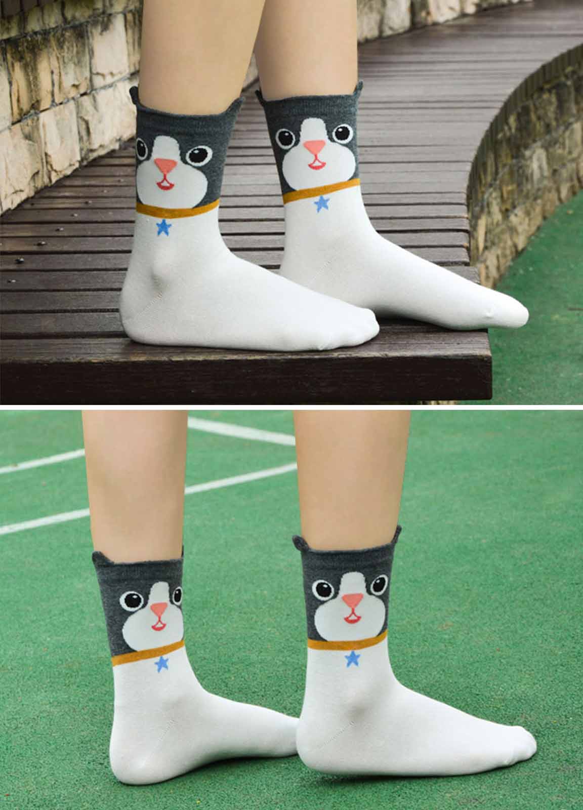 LOFIR 86181-MX-5 pack animal socks