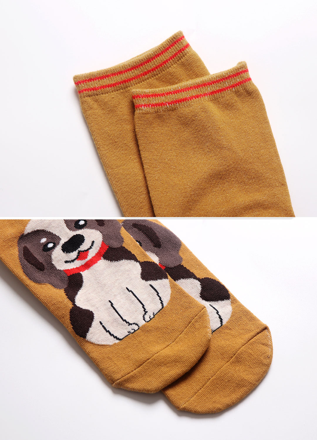 LOFIR 81925-MX-5 pack dog socks