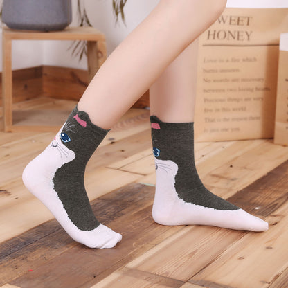 LOFIR 82707-MX-5 pack cat socks