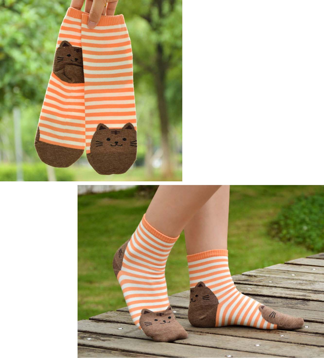 LOFIR 6106-Mixed color-6 pack cat socks